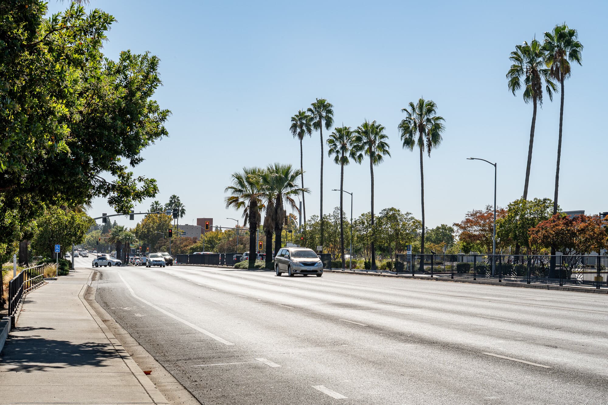 A wide Arden-Arcade boulevard lined with tall palms
