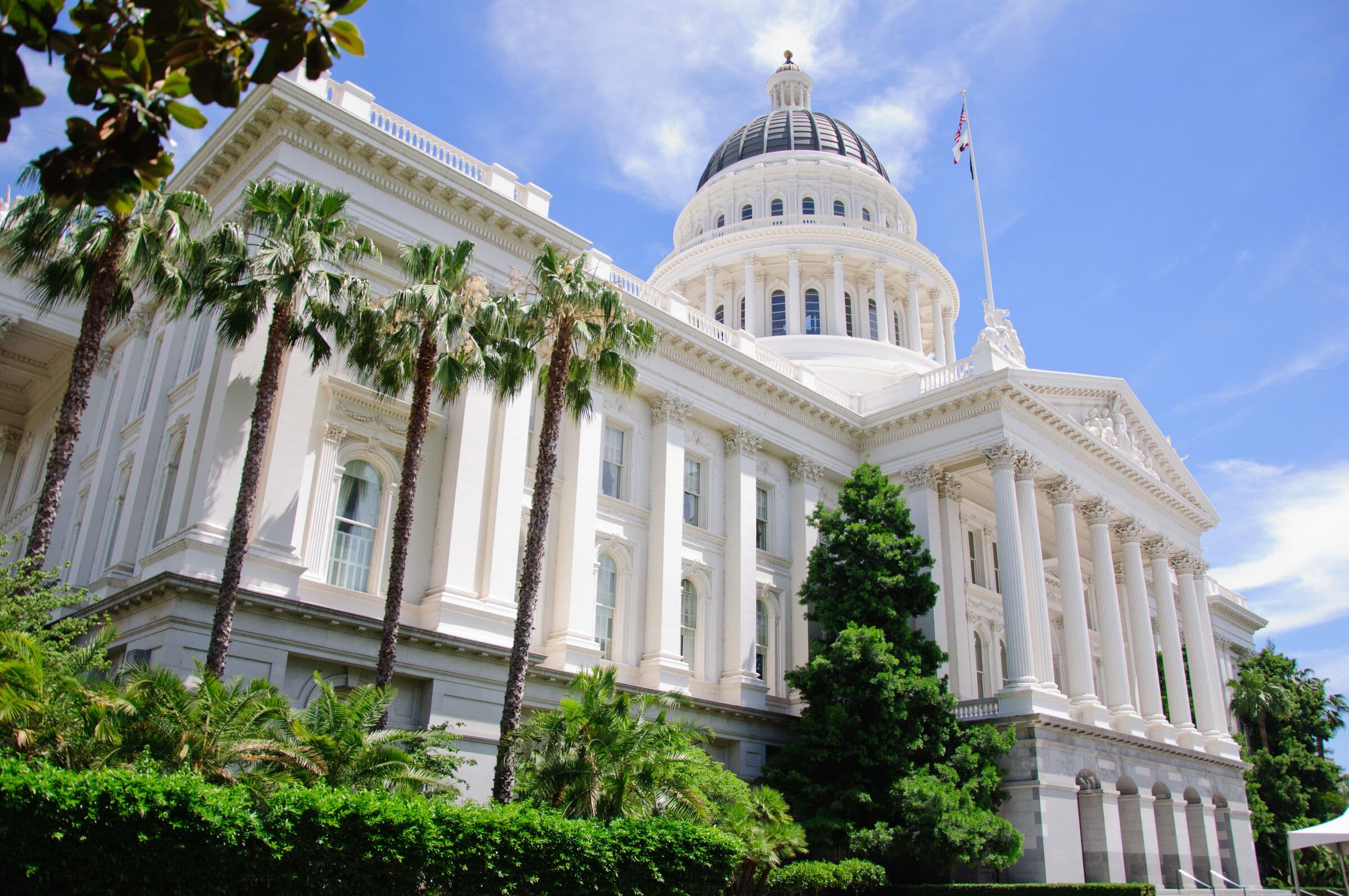 The California State Capitol dome framed by palms