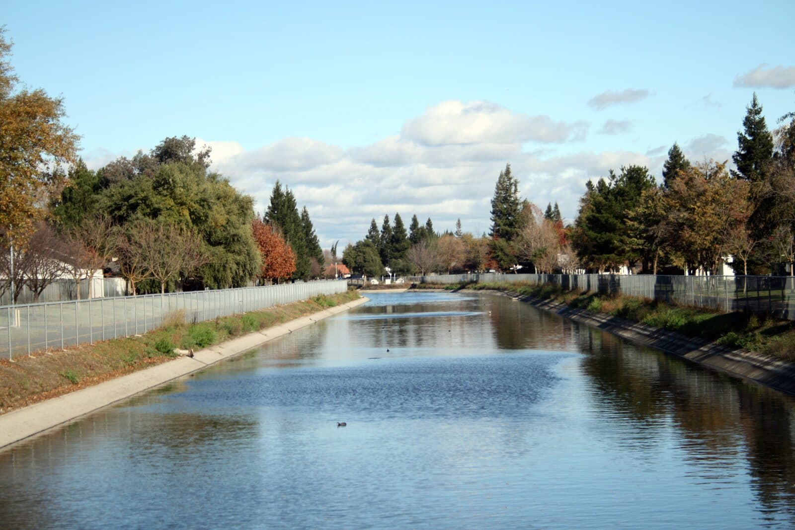 The tree-lined canal path in Pocket-Greenhaven