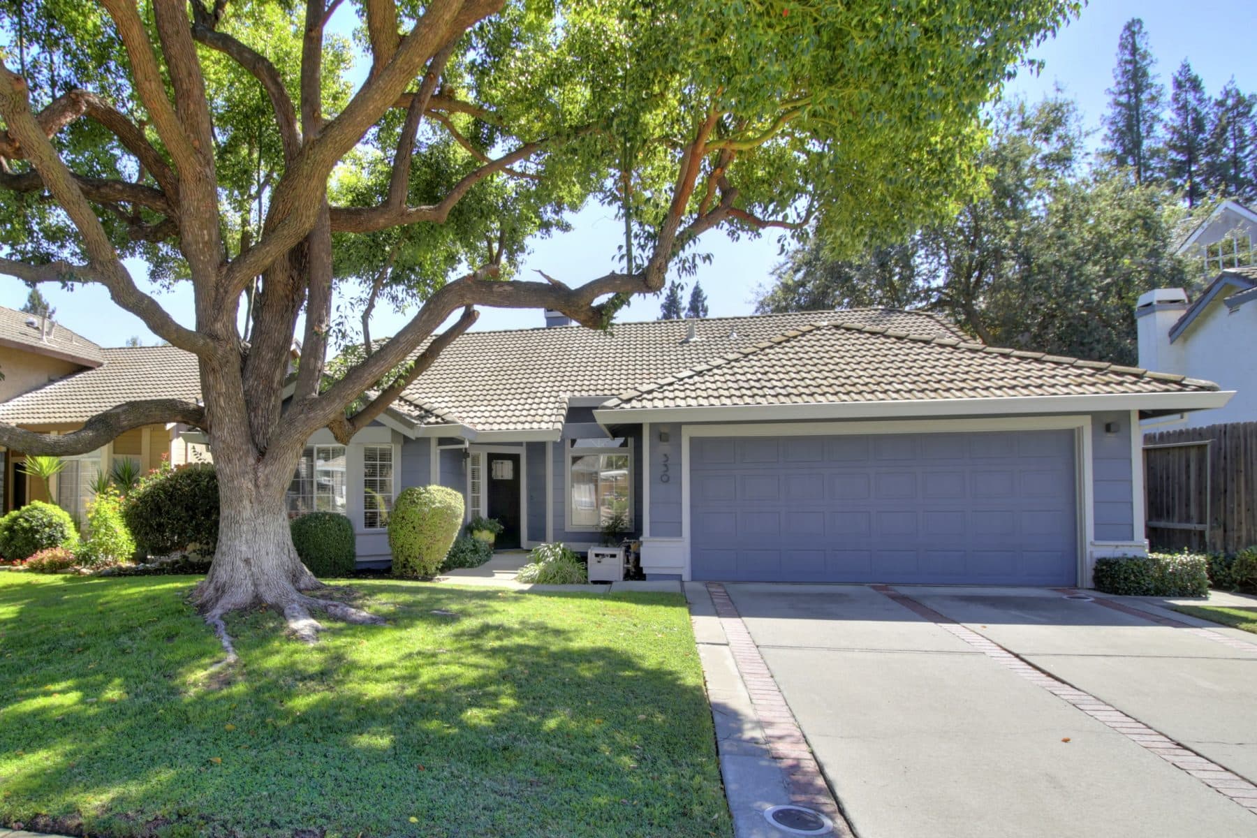 A home behind a large shade tree